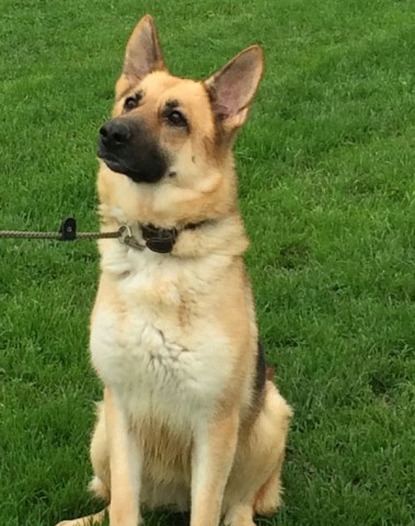 Tess - Newport