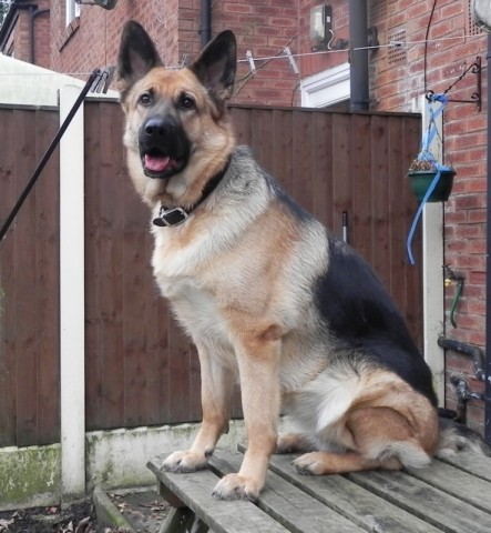 Bella - Greater Manchester