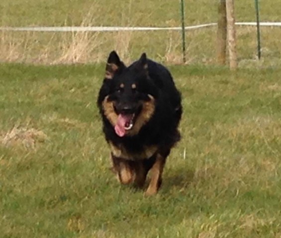 Nova - Lancashire