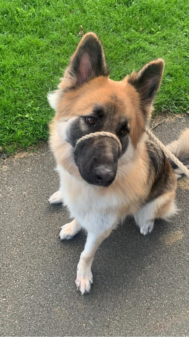 Narla-Northampton