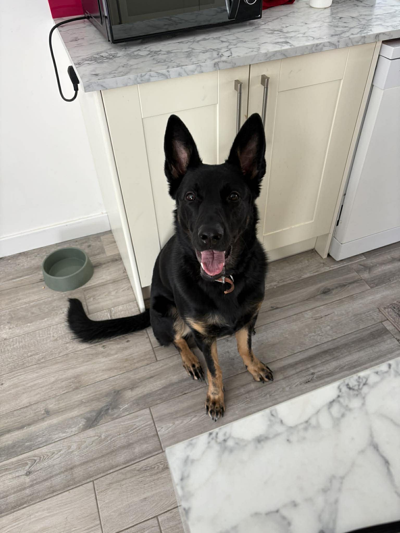 Ember-Northamptonshire