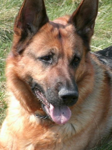 Asher - North Wales