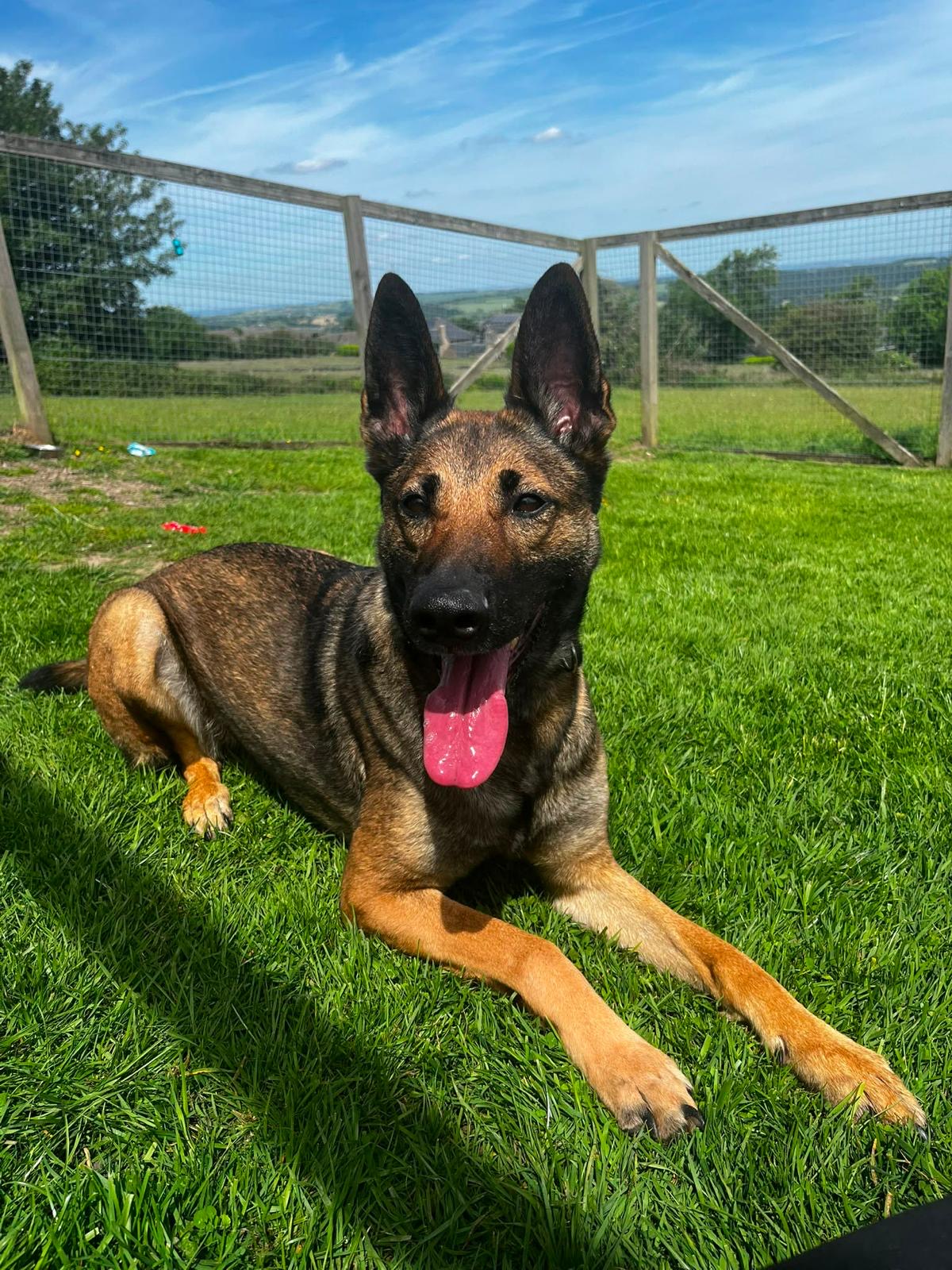 Holly-Sleaford