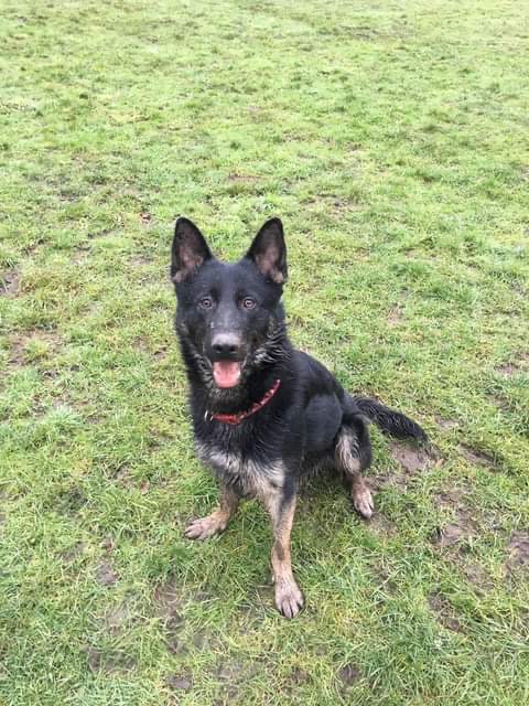 Casper - South Yorks