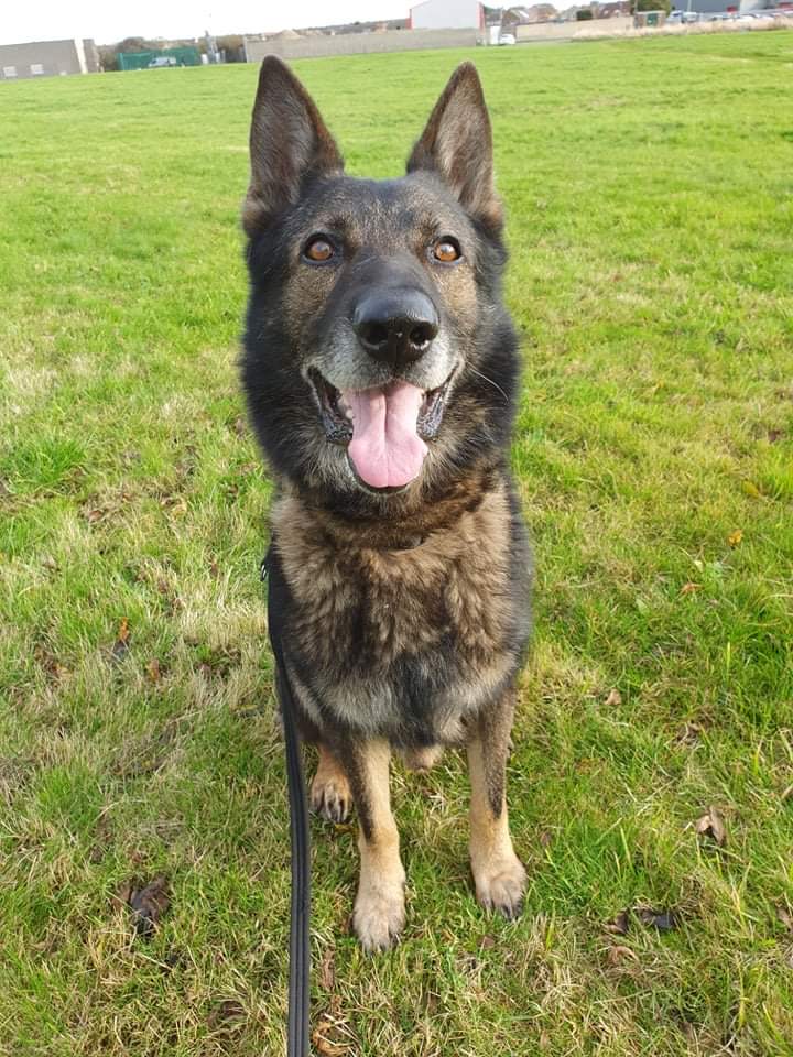 Max - North East