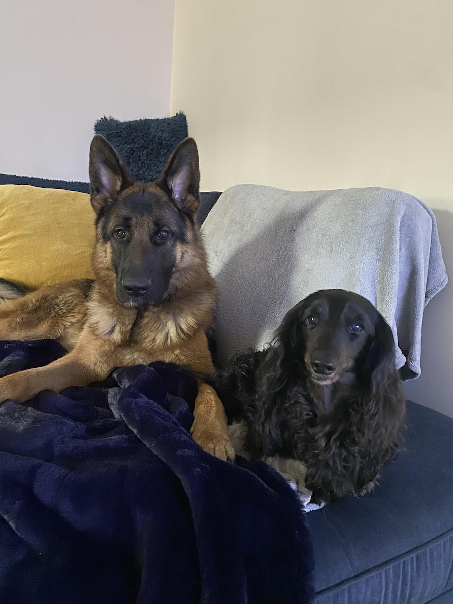 Artie- Cambridgeshire