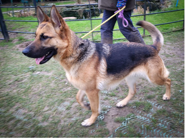 Cher at FAITH ANIMAL RESCUE Norfolk