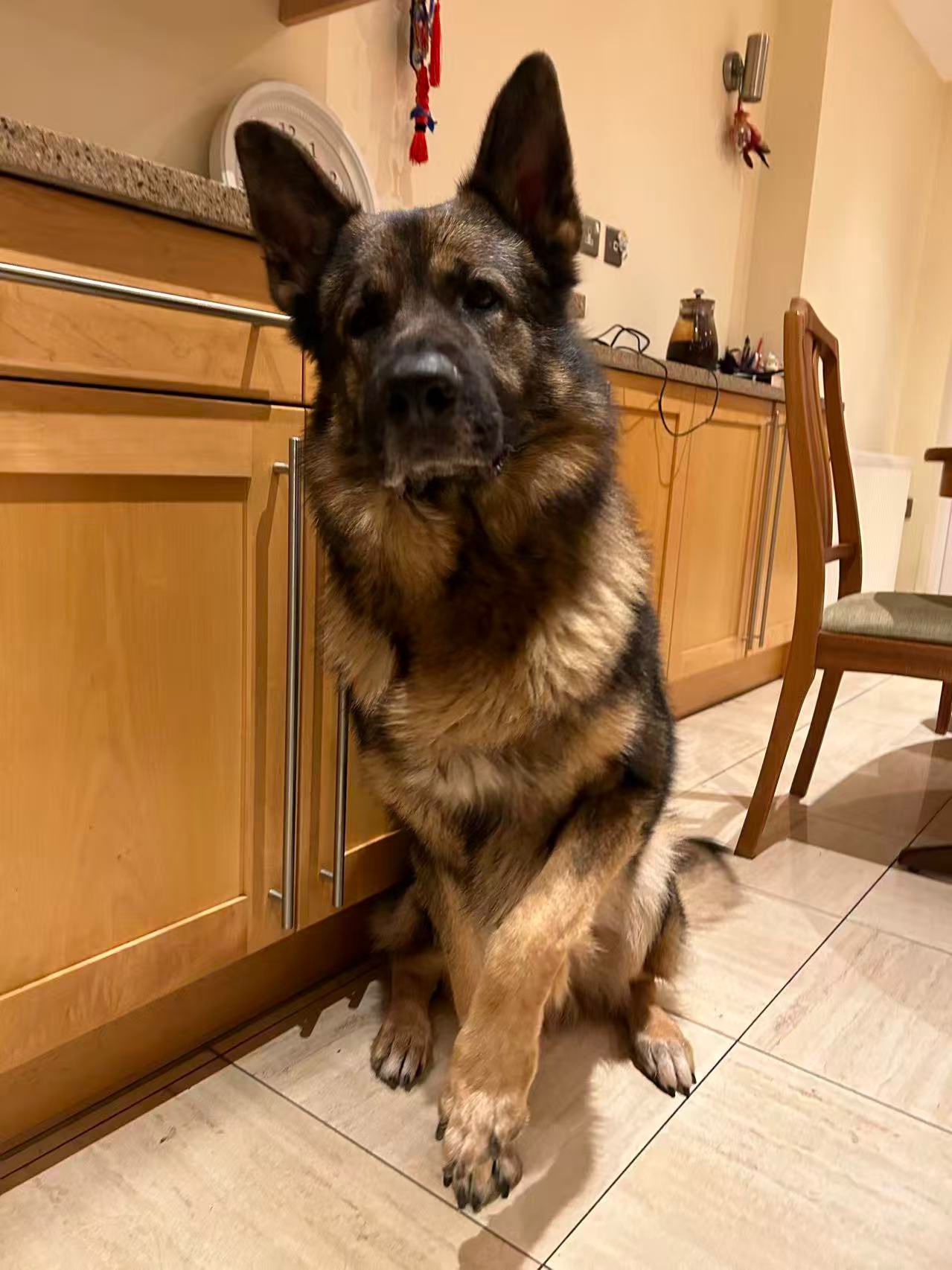 Max-Cambridge