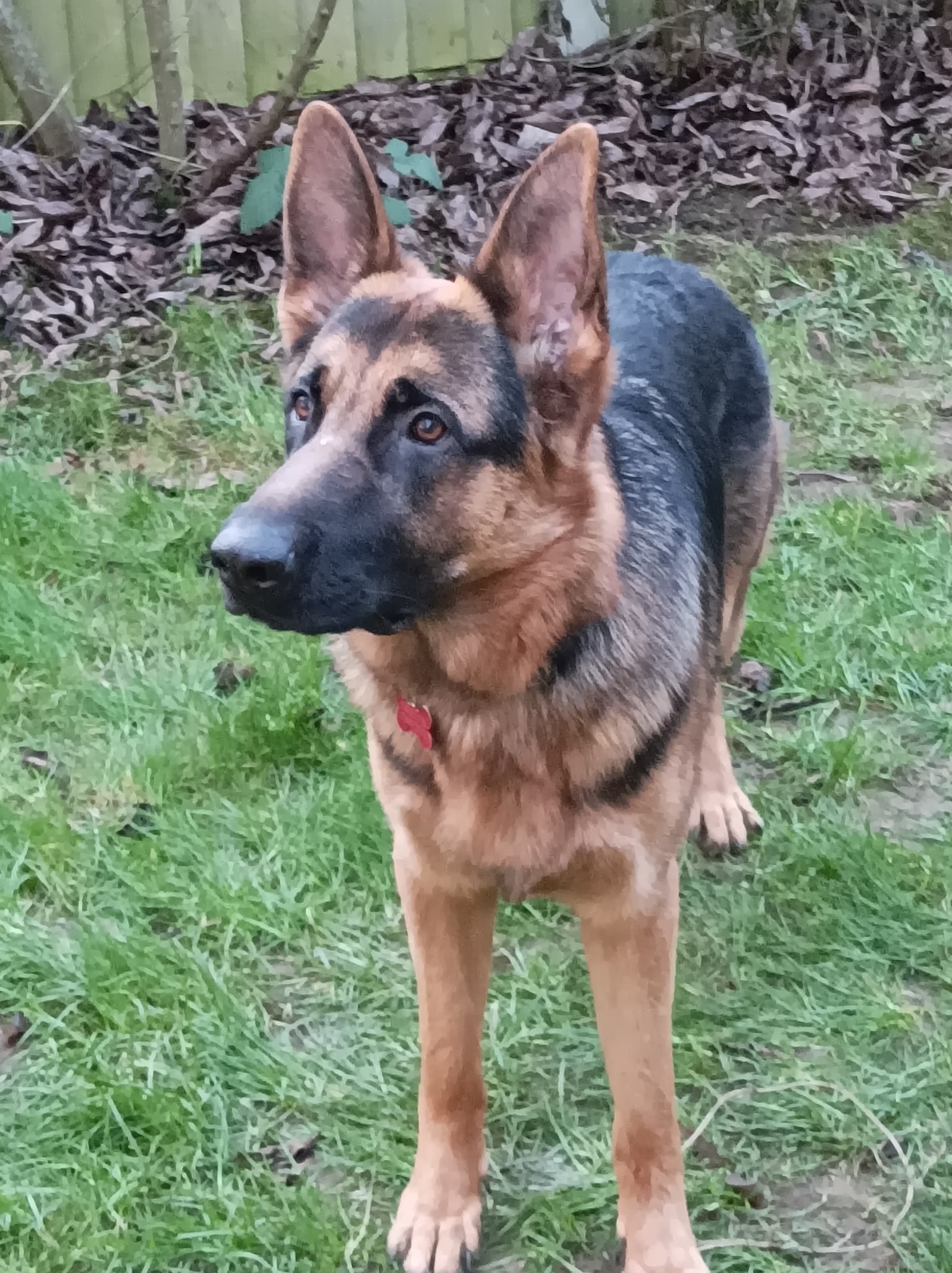 Valor- Cambs