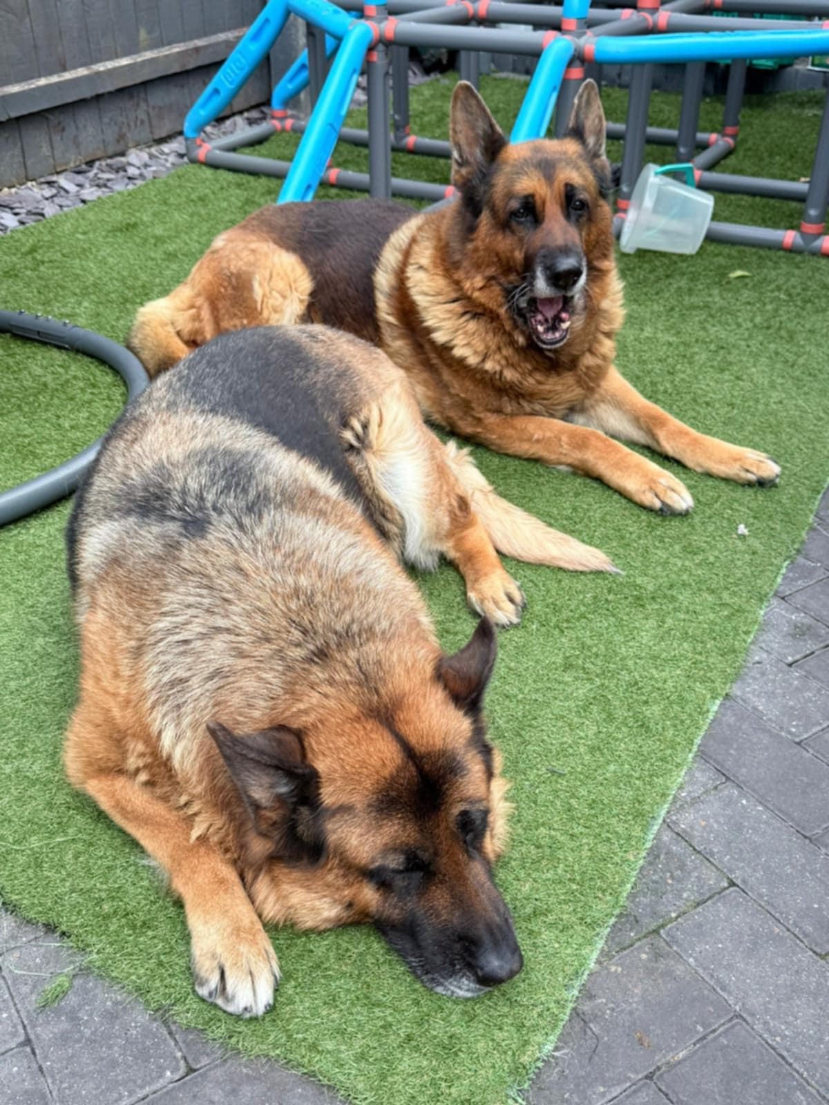 Mia & Rocky