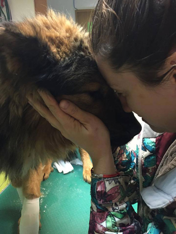 His rescuer just saw a beautiful unloved boy who nopbody had ever cared about before