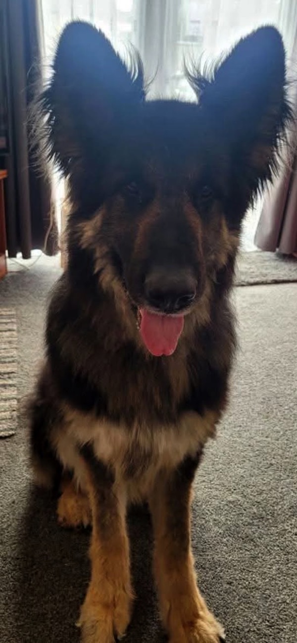 Ben