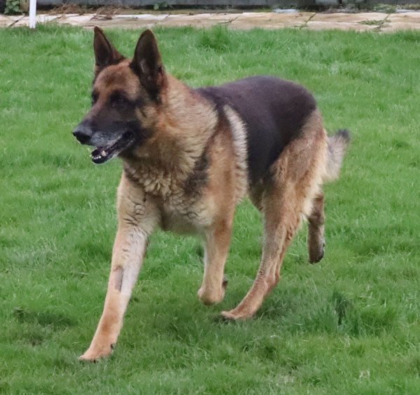 Bob - Swindon