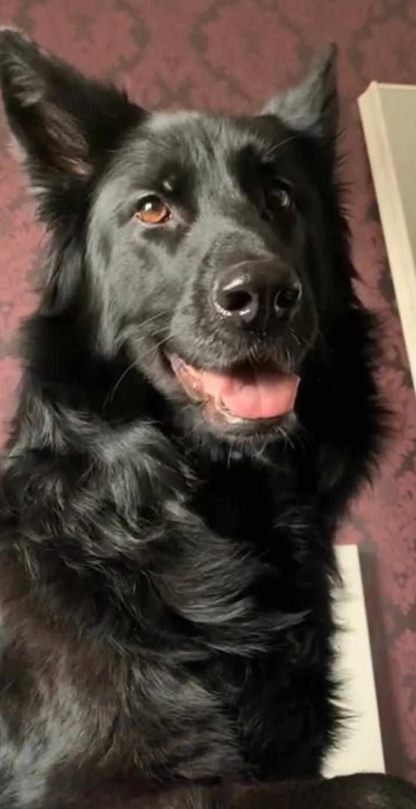 Bonnie