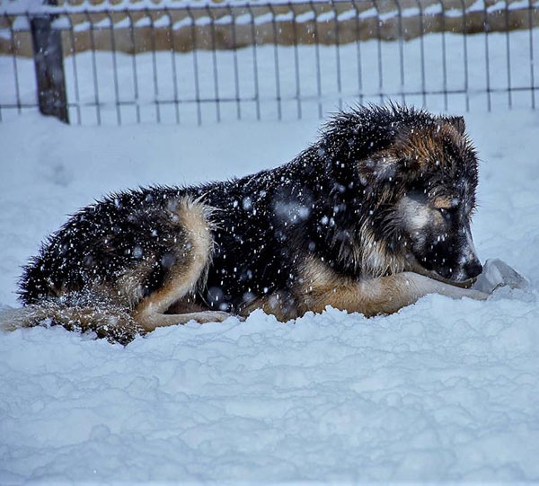 Enjoying the snow