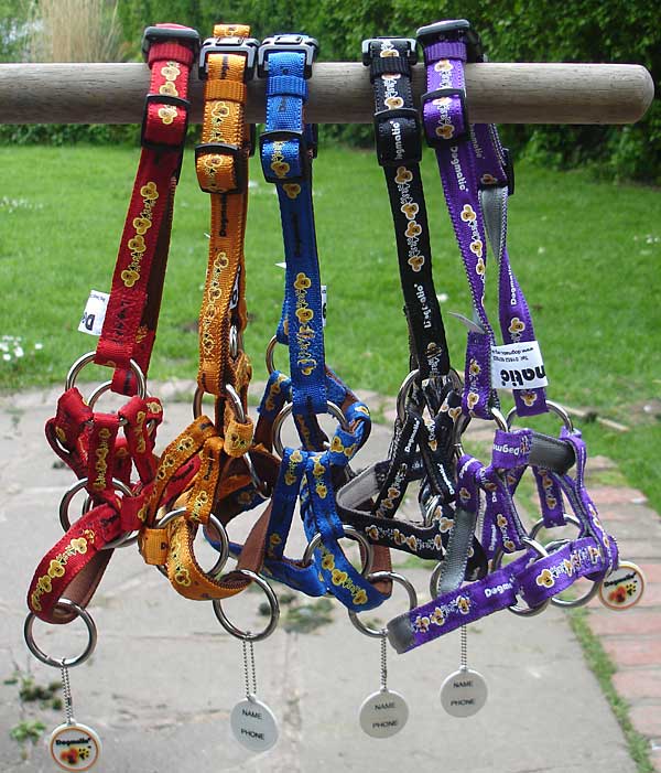 leads shown with matching head collars