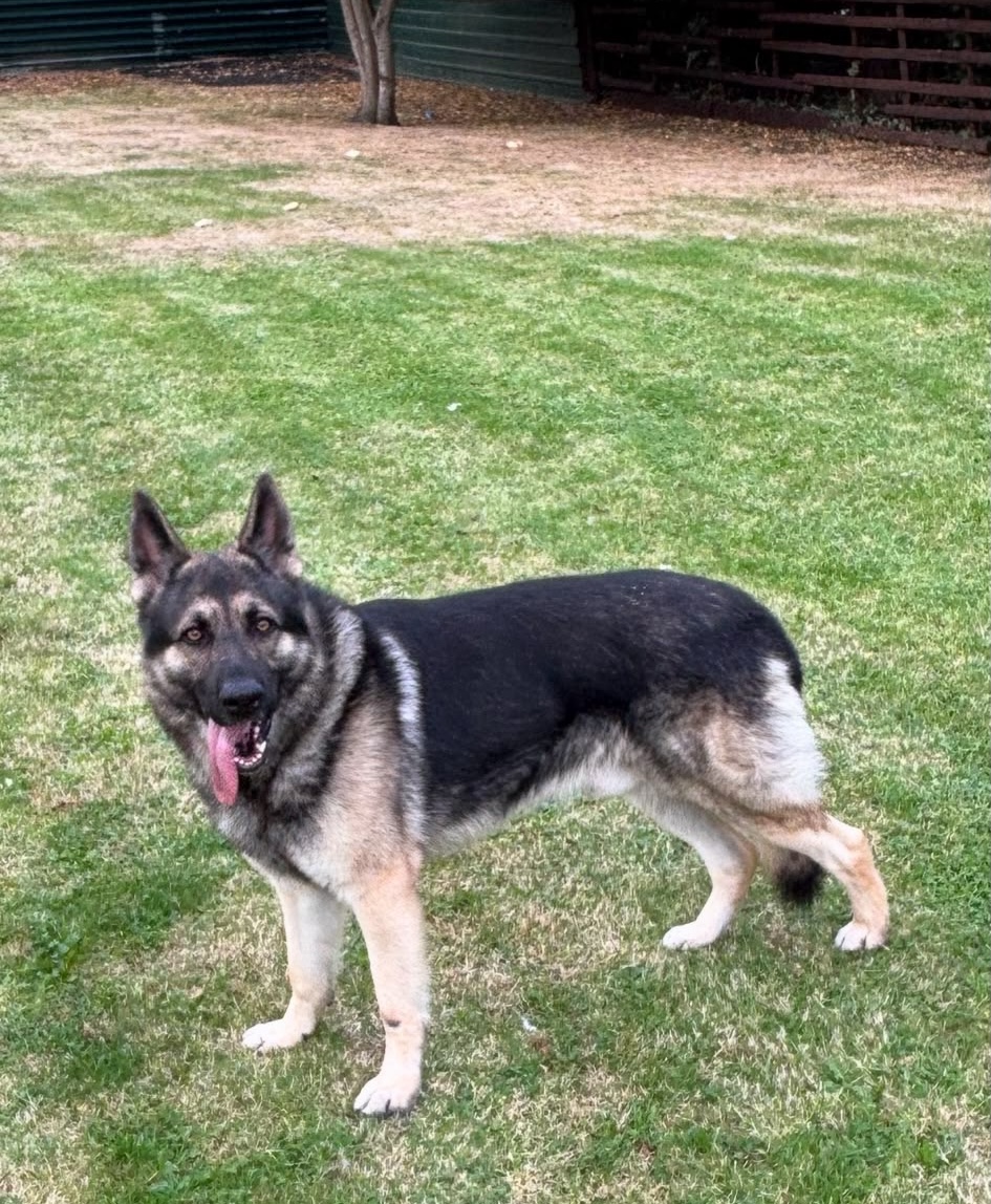Apollo-Sleaford