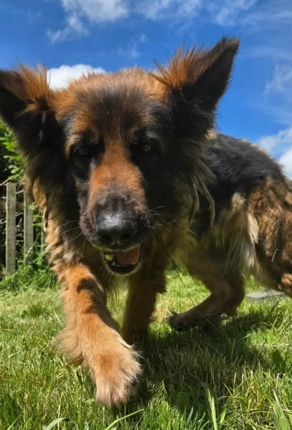 Keira - Warwickshire Keira - Warwickshire
