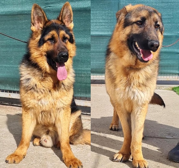 Luca and Max