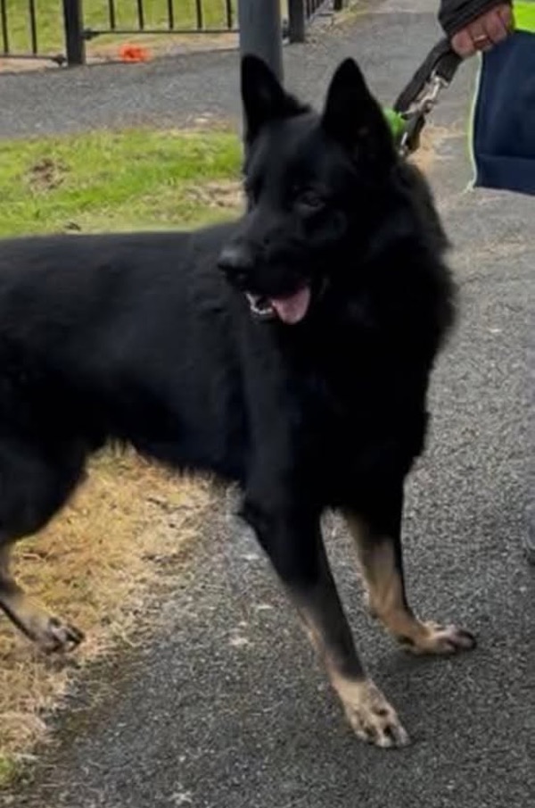 Max