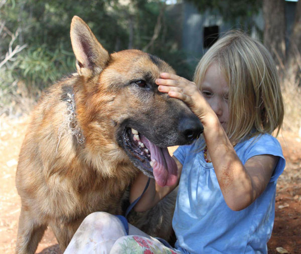 Pablo is a wonderful gentle boy who love everyone