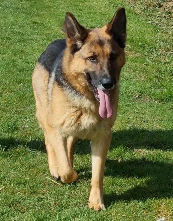 Roxy-Sleaford