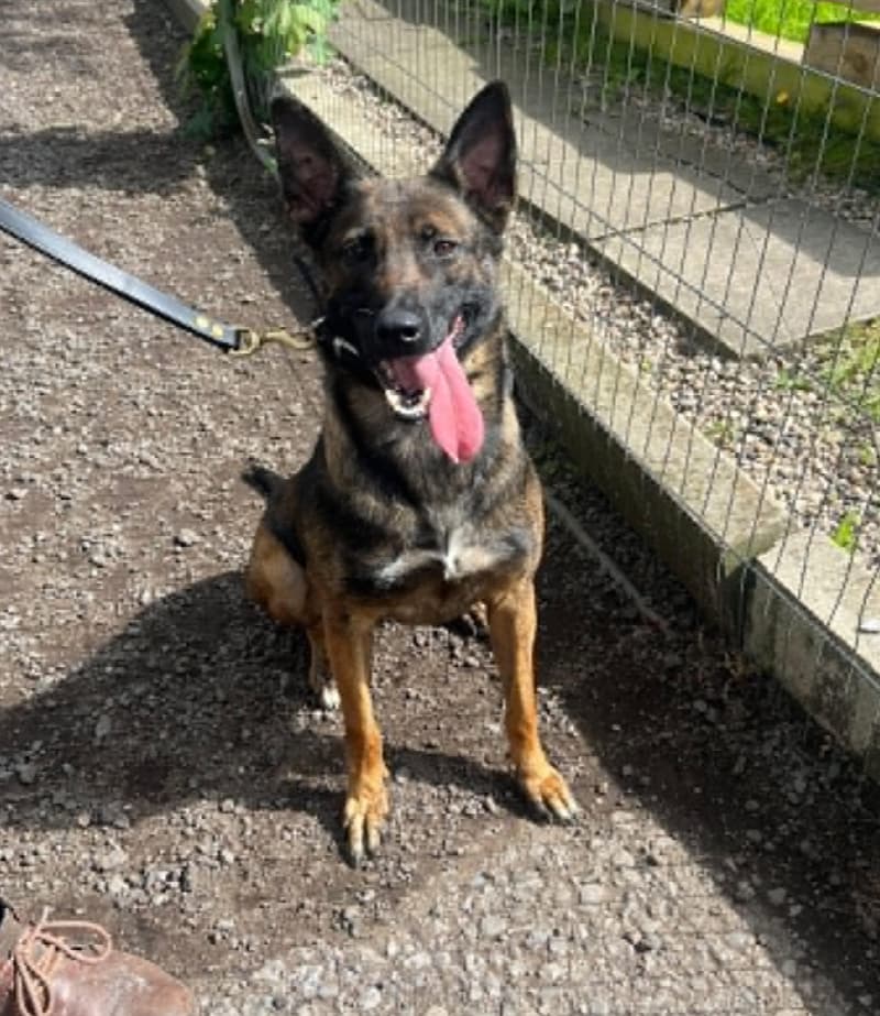 Roxy - West Yorks
