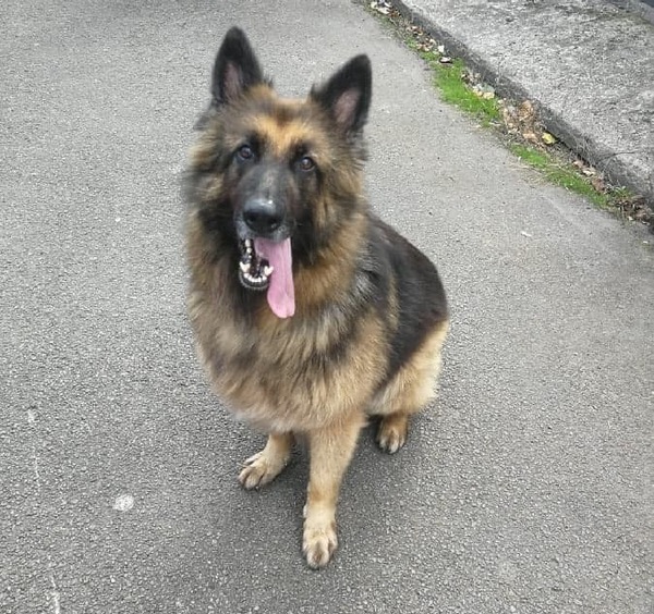 Sam - Port Talbot