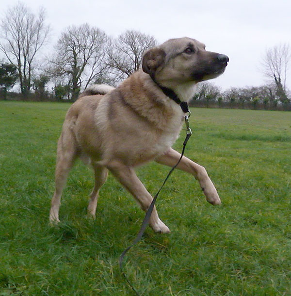 Shane is still looking for his new mum and dad