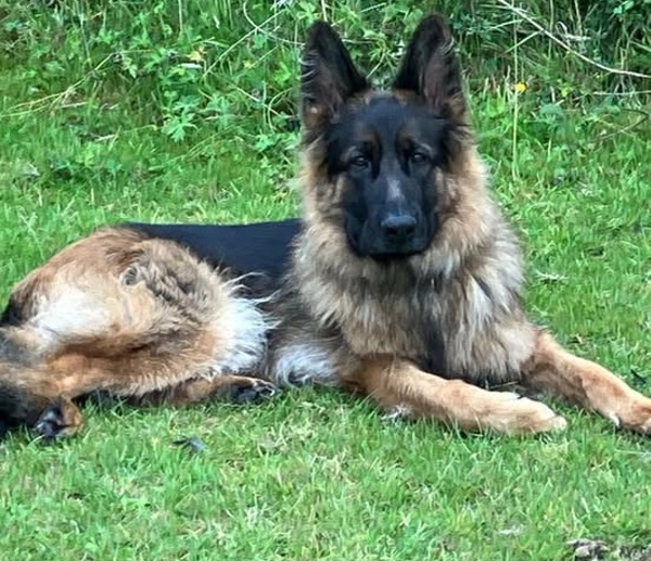 Skye