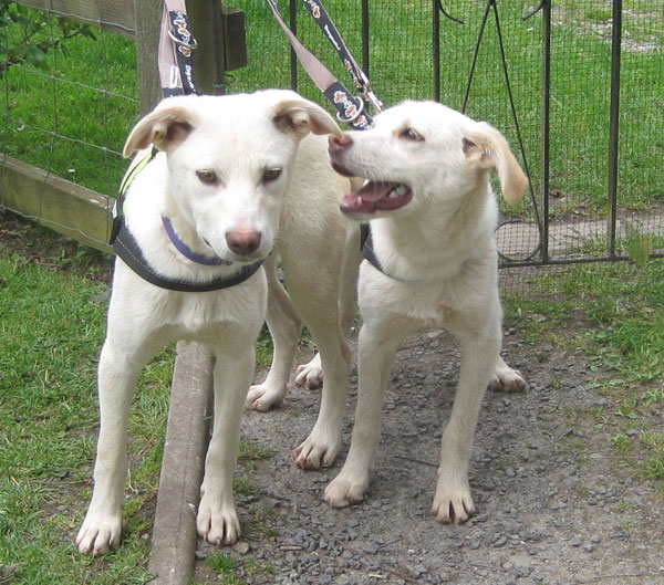 Lottie on the left with her sister Tottie