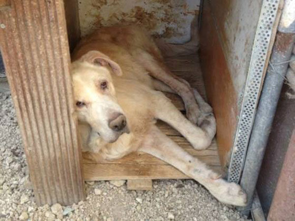 uncle tom lying in a small dirty crate