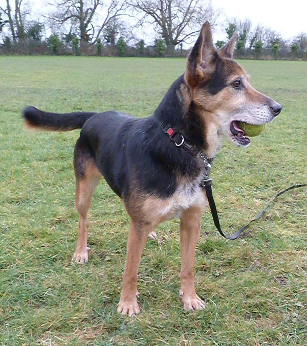 Yasmin keeps hoping her new mum and dad will come for her