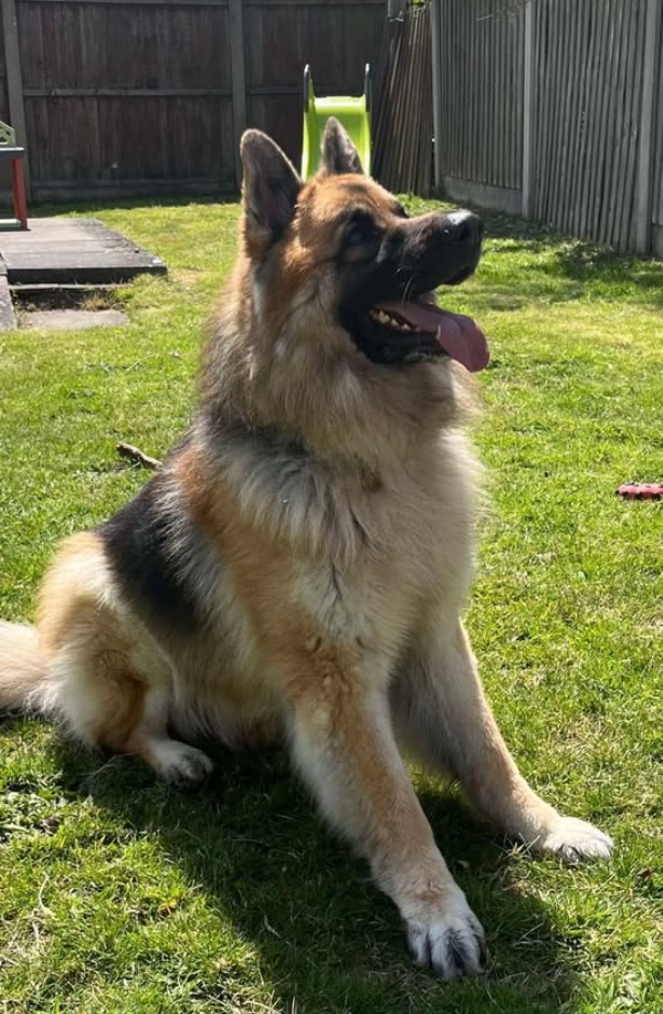 Zeke