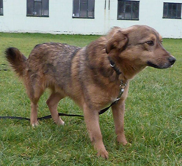 Zeus keeps looking and hoping that his new mum and dad will come