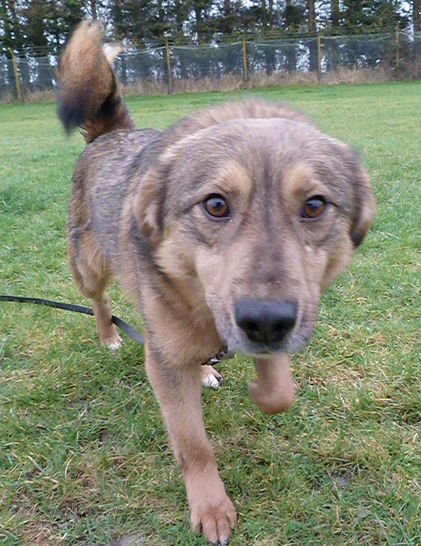 Zeus says - Please can you take me home with you?