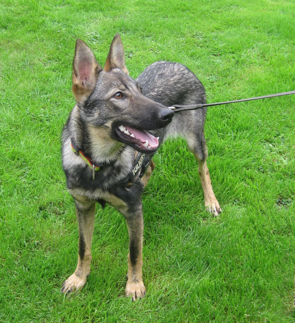 What big teeth you have Zita!