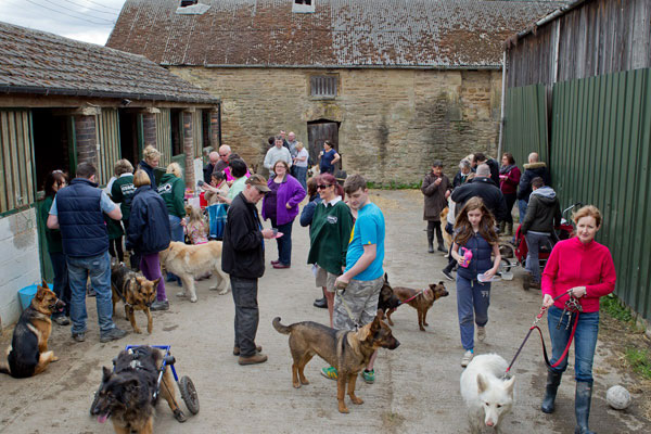 dog walking group near me