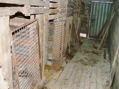 squalid kennels