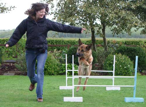 katie doing agility