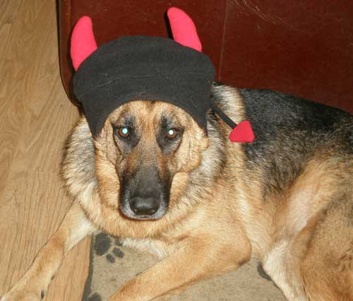 alfie wearing his devils horns