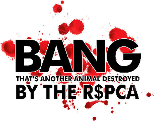 bang another dog shot by the RSPCA