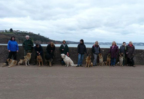 gsdr walkers