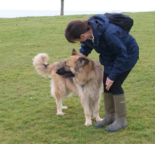 gsdr walk