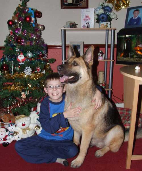 German Shepherd Dog Rehoming Success Stories