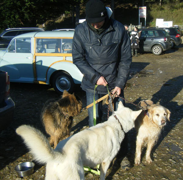 Bruce enjoying one of the GSDR walks