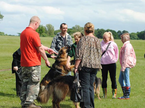 volunteers and supporters of gsdr