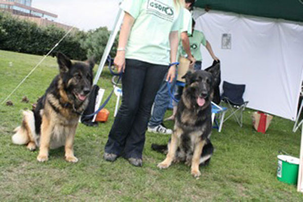 carmen the gsd at a fundraising event