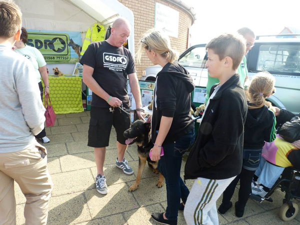 gsdr volunteer and ex police dog Madoc