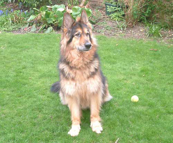 connor sitting for his photograph